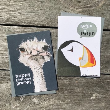 Quirky Birds & critters